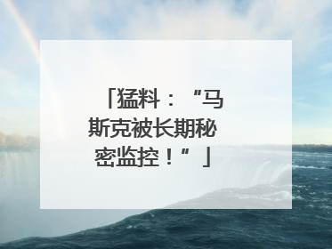 猛料：“马斯克被长期秘密监控！”
