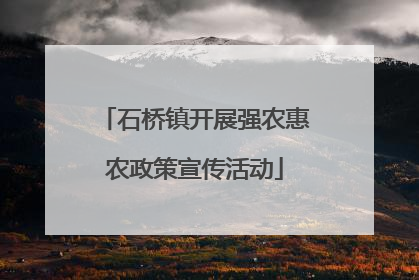 石桥镇开展强农惠农政策宣传活动