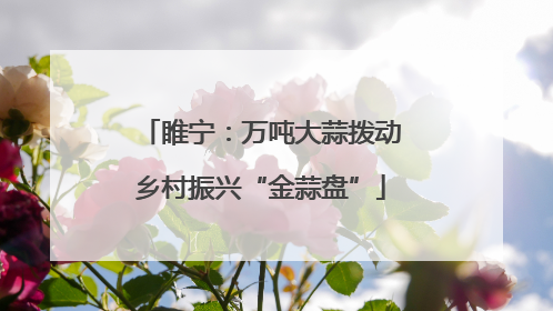 睢宁：万吨大蒜拨动乡村振兴“金蒜盘”