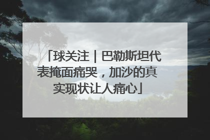 球关注｜巴勒斯坦代表掩面痛哭，加沙的真实现状让人痛心