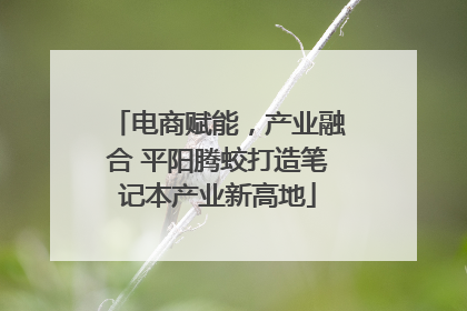 电商赋能，产业融合 平阳腾蛟打造笔记本产业新高地