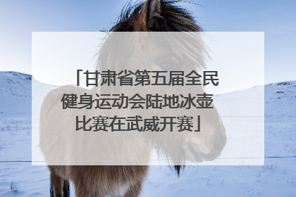 甘肃省第五届全民健身运动会陆地冰壶比赛在武威开赛