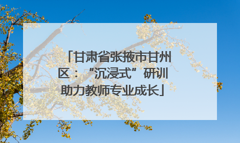 甘肃省张掖市甘州区：“沉浸式”研训助力教师专业成长