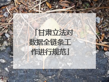 甘肃立法对数据全链条工作进行规范