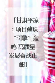 甘肃平凉：项目建设“引擎”轰鸣 高质量发展奋战正酣