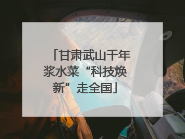 甘肃武山千年浆水菜“科技焕新”走全国