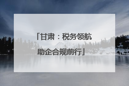 甘肃：税务领航 助企合规前行