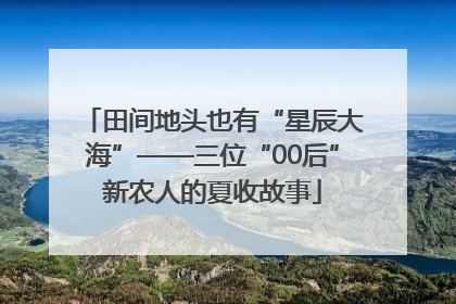 田间地头也有“星辰大海”——三位“00后”新农人的夏收故事