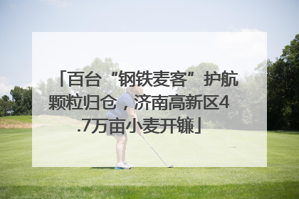 百台“钢铁麦客”护航颗粒归仓，济南高新区4.7万亩小麦开镰