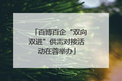 百博百企“双向双进”供需对接活动在蓉举办