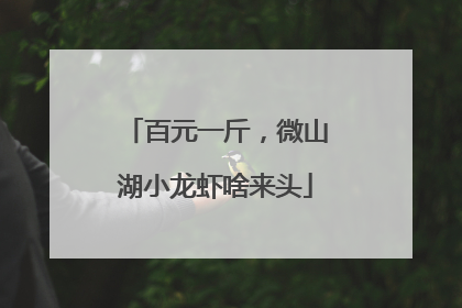 百元一斤，微山湖小龙虾啥来头