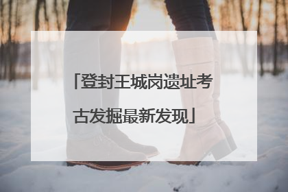 登封王城岗遗址考古发掘最新发现
