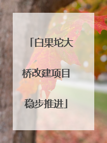 白果坨大桥改建项目稳步推进