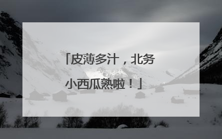 皮薄多汁，北务小西瓜熟啦！
