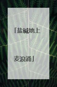盐碱地上麦浪涌