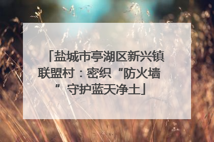 盐城市亭湖区新兴镇联盟村：密织“防火墙”守护蓝天净土