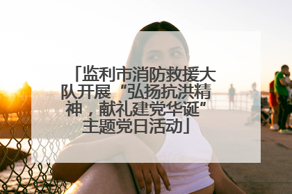 监利市消防救援大队开展“弘扬抗洪精神，献礼建党华诞”主题党日活动