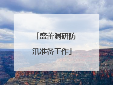 盛蕾调研防汛准备工作