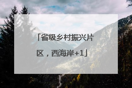 省级乡村振兴片区，西海岸+1