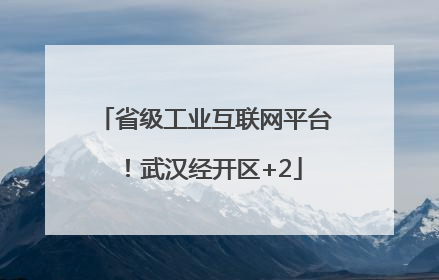 省级工业互联网平台！武汉经开区+2