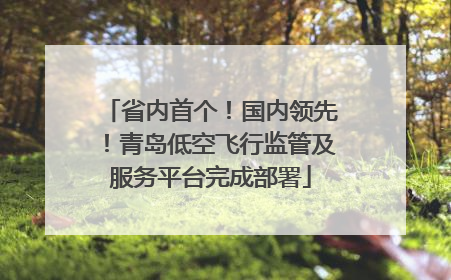 省内首个！国内领先！青岛低空飞行监管及服务平台完成部署
