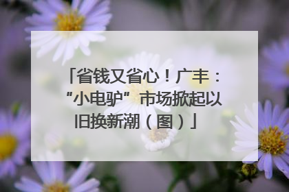 省钱又省心！广丰：“小电驴”市场掀起以旧换新潮（图）