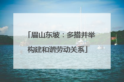 眉山东坡：多措并举构建和谐劳动关系