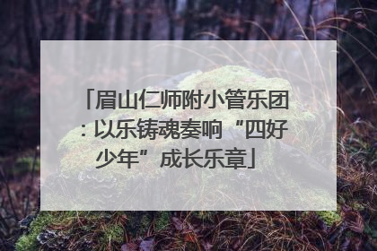 眉山仁师附小管乐团：以乐铸魂奏响“四好少年”成长乐章