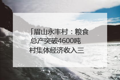 眉山永丰村：粮食总产突破4600吨 村集体经济收入三年倍增｜牵挂的村