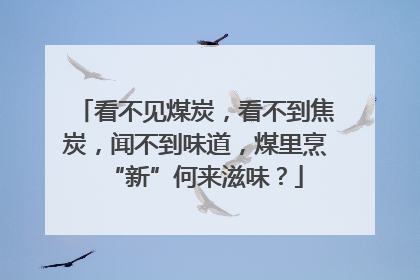 看不见煤炭，看不到焦炭，闻不到味道，煤里烹“新”何来滋味？