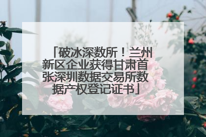 破冰深数所！兰州新区企业获得甘肃首张深圳数据交易所数据产权登记证书