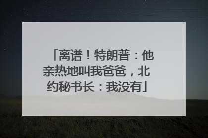 离谱！特朗普：他亲热地叫我爸爸，北约秘书长：我没有