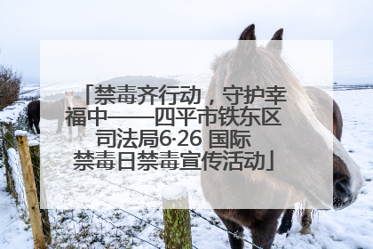 禁毒齐行动，守护幸福中——四平市铁东区司法局6·26 国际禁毒日禁毒宣传活动