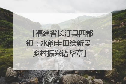 福建省长汀县四都镇：水韵圭田绘新景 乡村振兴谱华章
