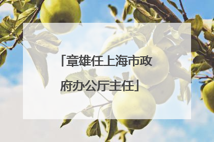 章雄任上海市政府办公厅主任