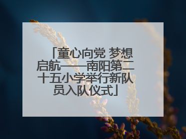 童心向党 梦想启航——南阳第二十五小学举行新队员入队仪式