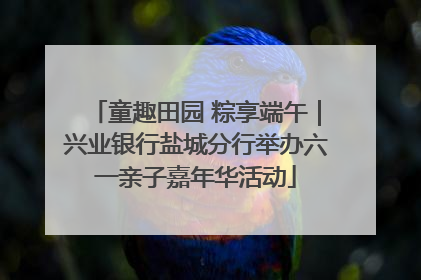 童趣田园 粽享端午｜兴业银行盐城分行举办六一亲子嘉年华活动