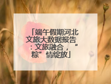 端午假期河北文旅大数据报告：文旅融合，“粽”情绽放