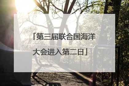 第三届联合国海洋大会进入第二日