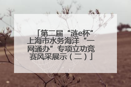 第二届“涟e杯”上海市水务海洋“一网通办”专项立功竞赛风采展示（二）