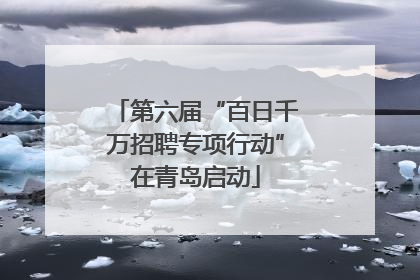 第六届“百日千万招聘专项行动”在青岛启动