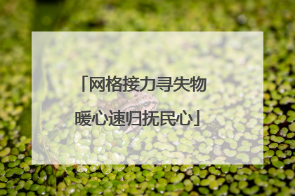 网格接力寻失物 暖心速归抚民心
