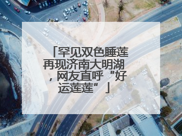罕见双色睡莲再现济南大明湖，网友直呼“好运莲莲”