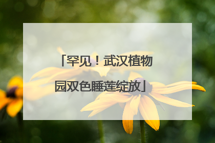 罕见！武汉植物园双色睡莲绽放