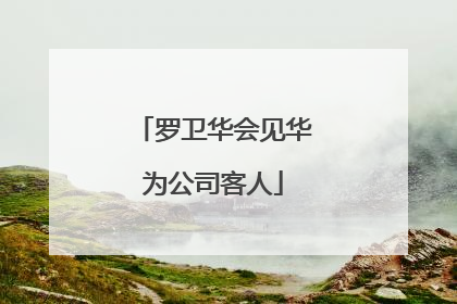 罗卫华会见华为公司客人