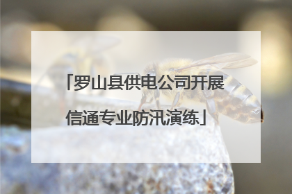 罗山县供电公司开展信通专业防汛演练