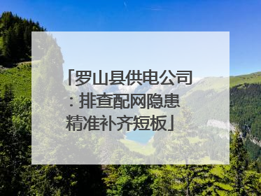 罗山县供电公司：排查配网隐患 精准补齐短板