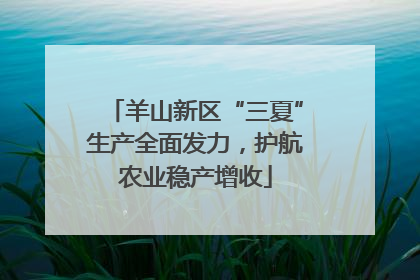 羊山新区“三夏”生产全面发力，护航农业稳产增收
