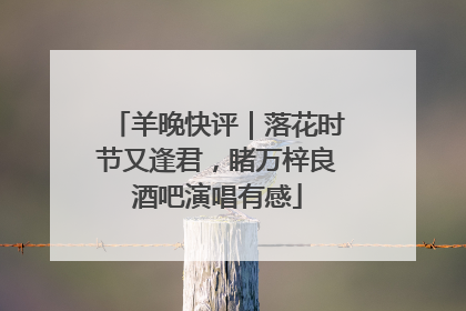 羊晚快评｜落花时节又逢君，睹万梓良酒吧演唱有感