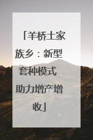 羊桥土家族乡：新型套种模式 助力增产增收